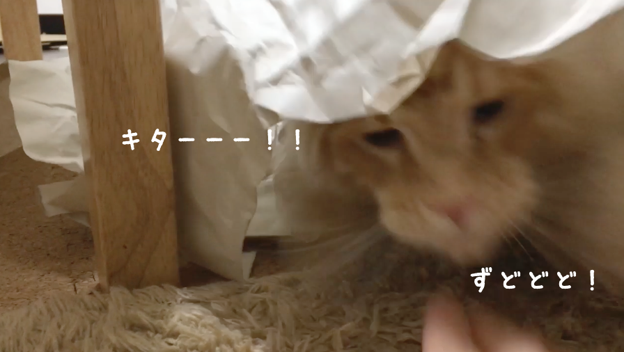 f:id:chikojirou:20180412215634p:plain