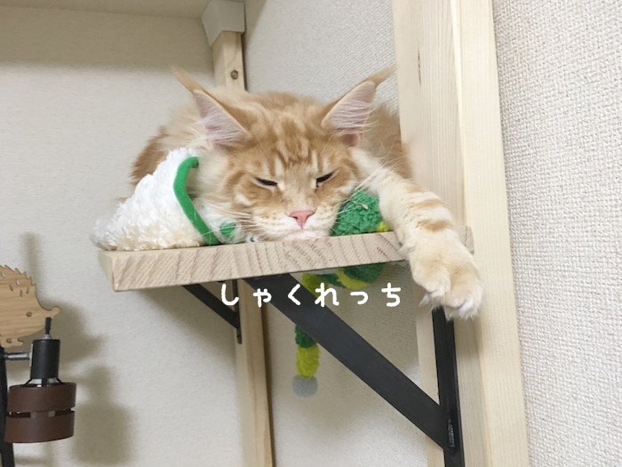f:id:chikojirou:20180419213907j:plain