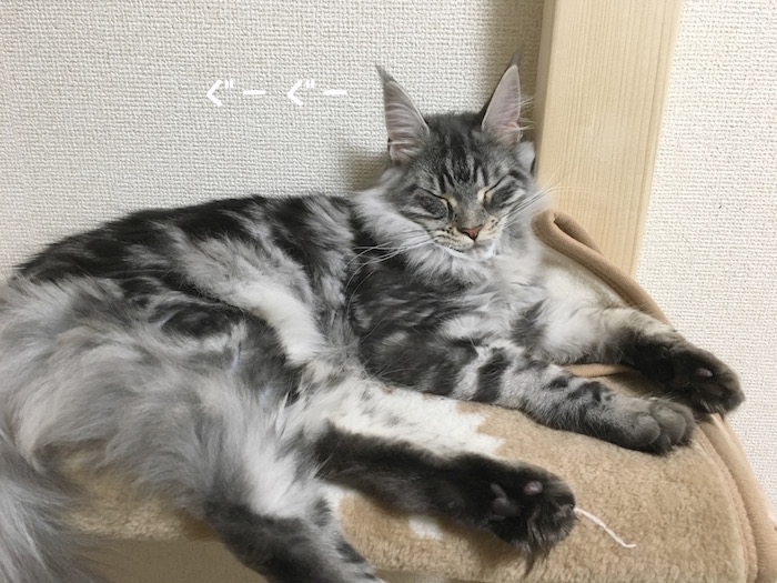 f:id:chikojirou:20180419213936j:plain