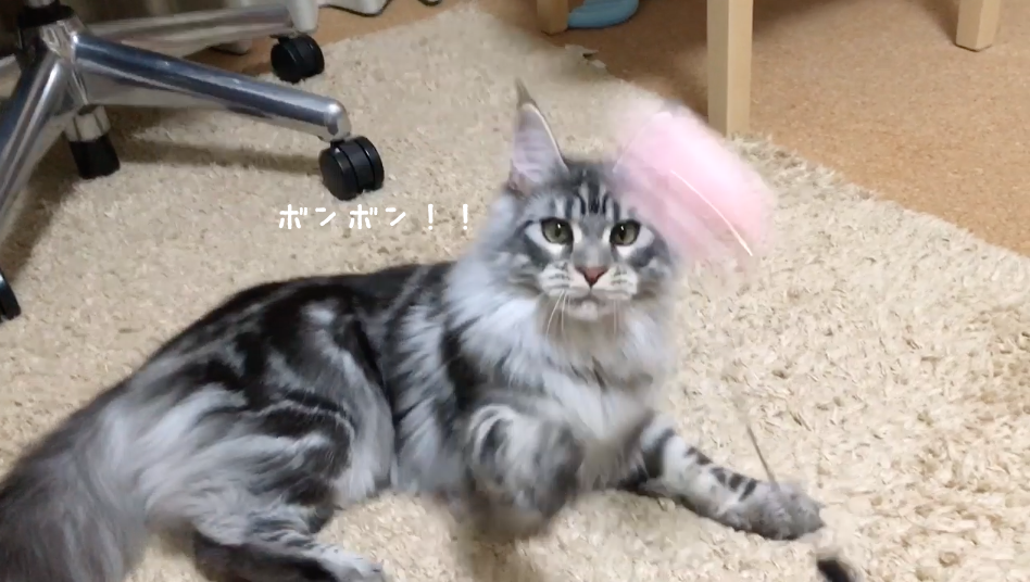 f:id:chikojirou:20180422202946p:plain