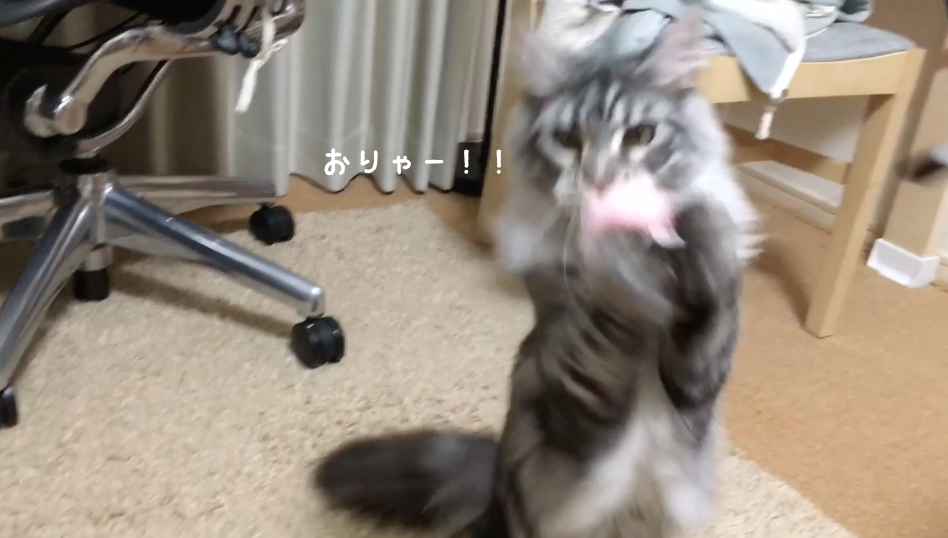f:id:chikojirou:20180422203003p:plain