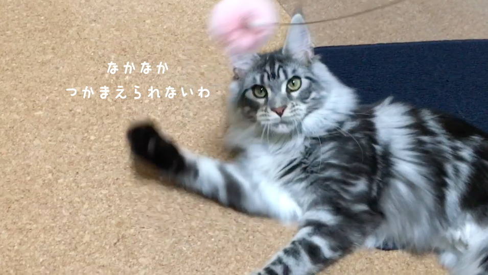 f:id:chikojirou:20180422203019p:plain