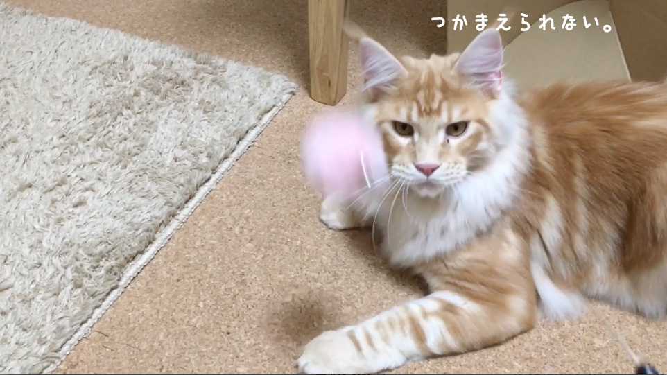 f:id:chikojirou:20180422203157p:plain