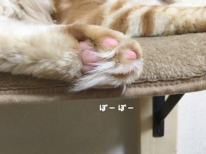 f:id:chikojirou:20180422203359j:plain