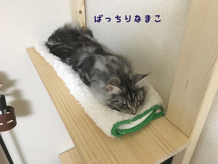 f:id:chikojirou:20180425211533j:plain