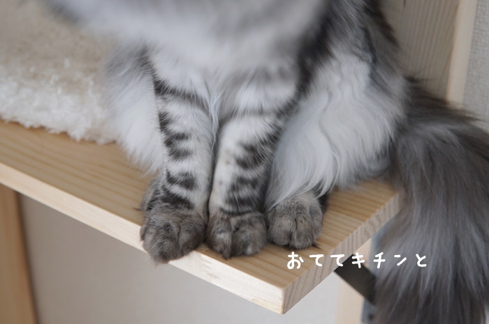 f:id:chikojirou:20180425211755j:plain