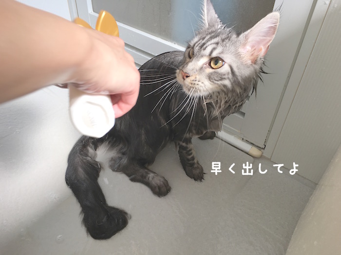 f:id:chikojirou:20180430214637j:plain