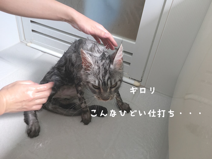 f:id:chikojirou:20180430214707j:plain