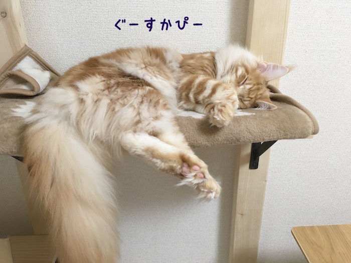 f:id:chikojirou:20180430214910j:plain