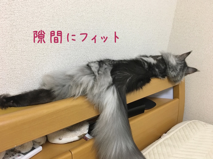 f:id:chikojirou:20180518222809j:plain
