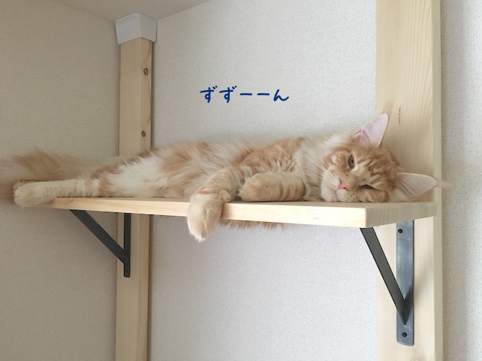 f:id:chikojirou:20180519215501j:plain