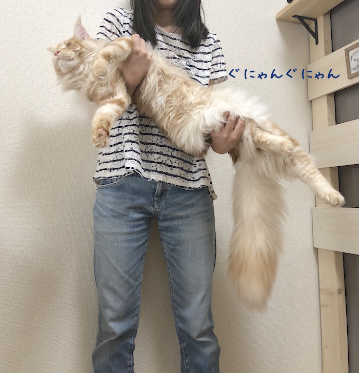 f:id:chikojirou:20180519215524j:plain