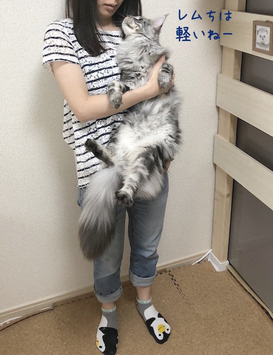 f:id:chikojirou:20180519215554j:plain