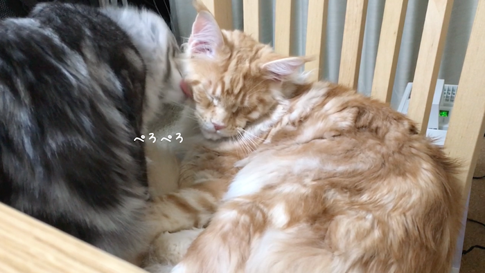 f:id:chikojirou:20180519215645p:plain