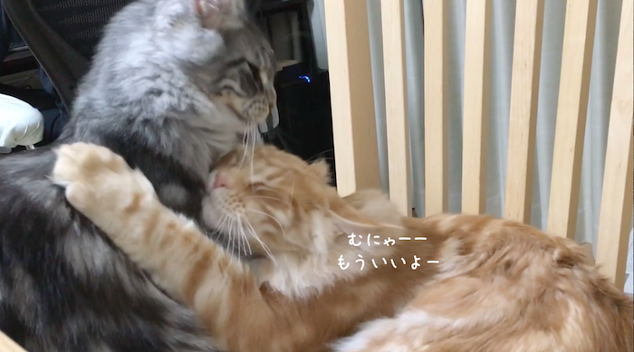 f:id:chikojirou:20180519215715p:plain