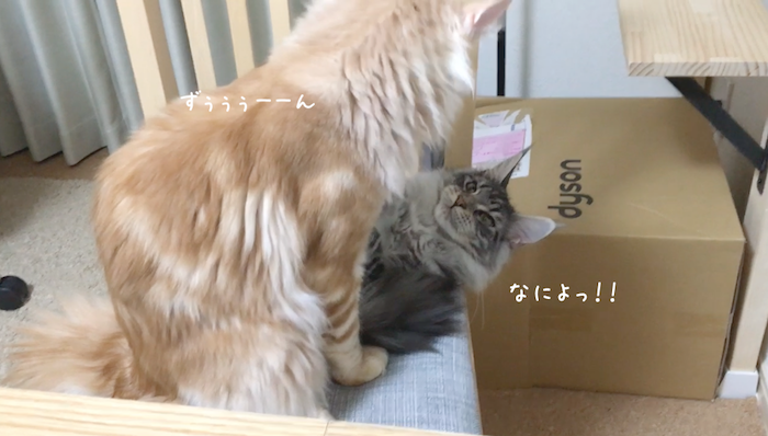 f:id:chikojirou:20180519215748p:plain