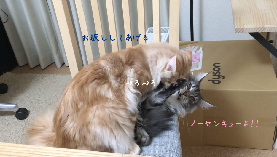 f:id:chikojirou:20180519215809p:plain