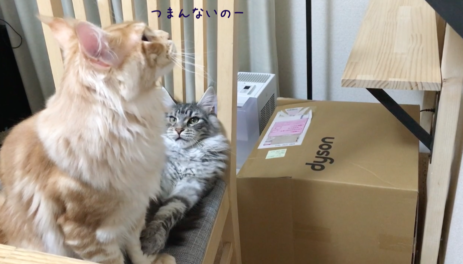 f:id:chikojirou:20180519215830p:plain