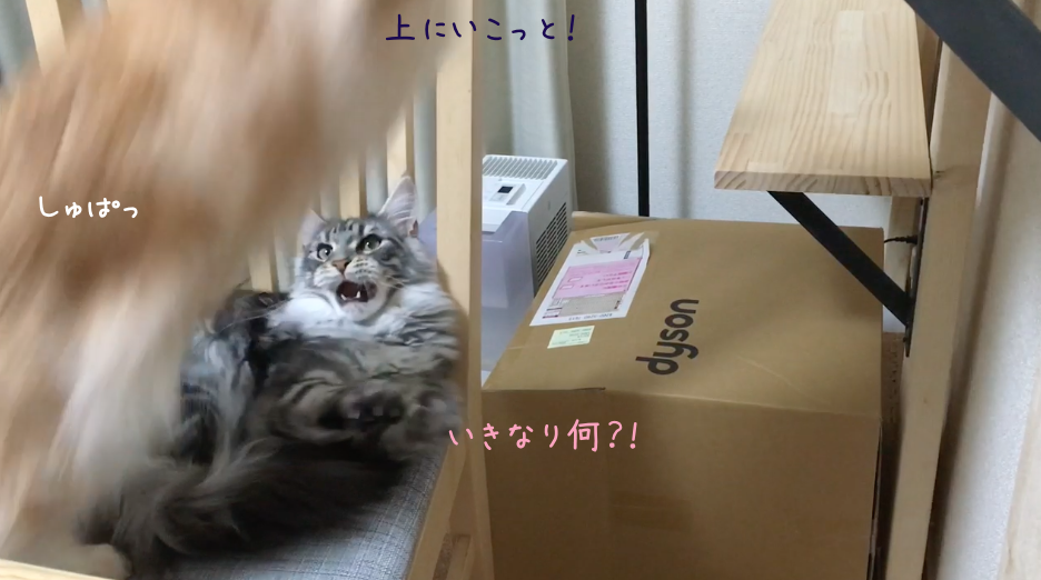 f:id:chikojirou:20180519215850p:plain