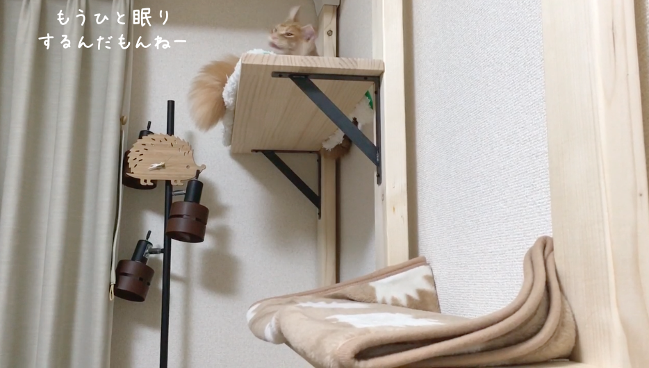 f:id:chikojirou:20180519215953p:plain