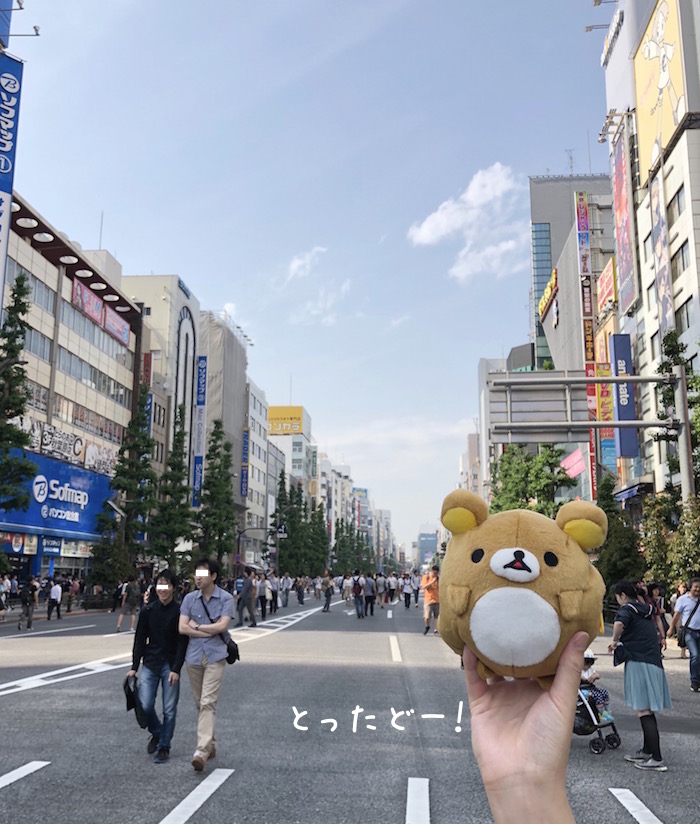 f:id:chikojirou:20180527221010j:plain