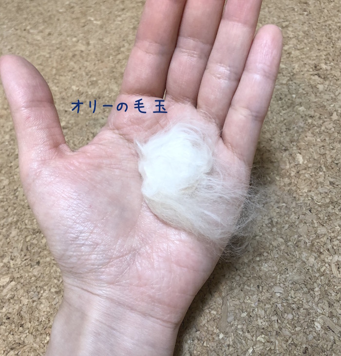 f:id:chikojirou:20180531220206j:plain
