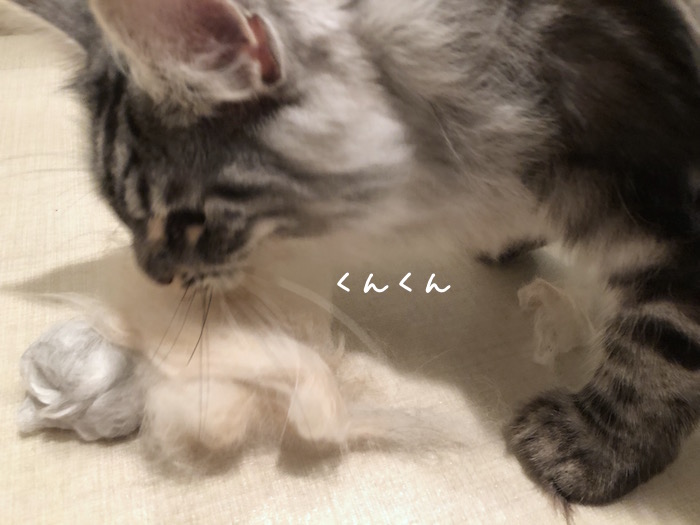 f:id:chikojirou:20180531220254j:plain
