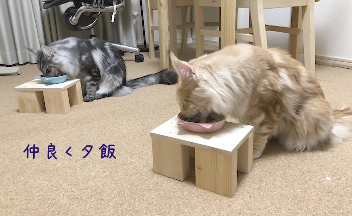 f:id:chikojirou:20180531220332j:plain