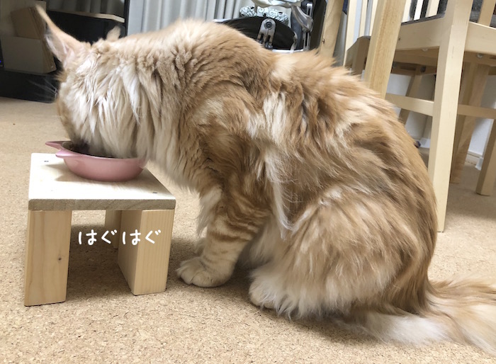 f:id:chikojirou:20180531220402j:plain