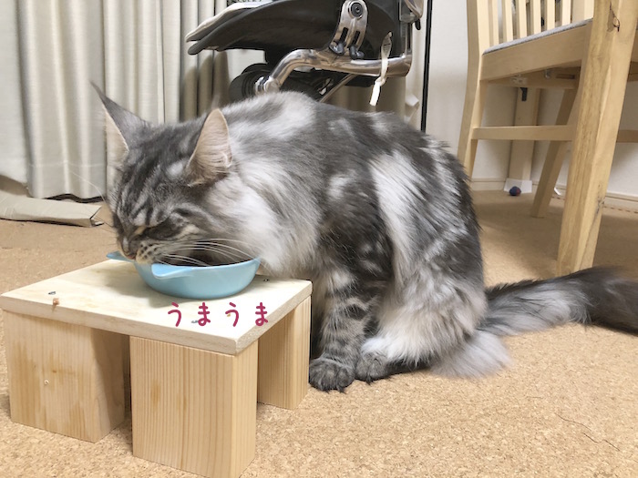 f:id:chikojirou:20180531220651j:plain
