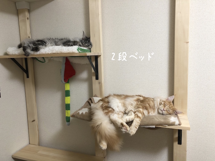 f:id:chikojirou:20180618213633j:plain