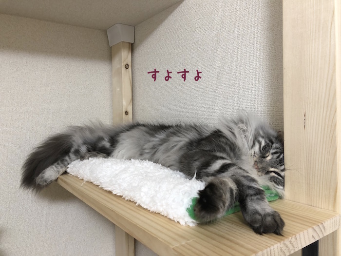 f:id:chikojirou:20180618213659j:plain