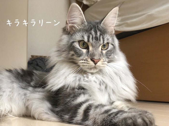 f:id:chikojirou:20180620213408j:plain