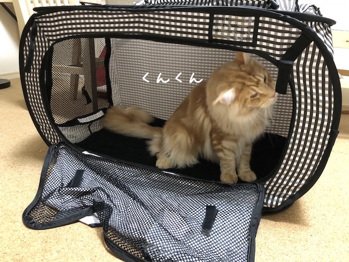 f:id:chikojirou:20180620213611j:plain