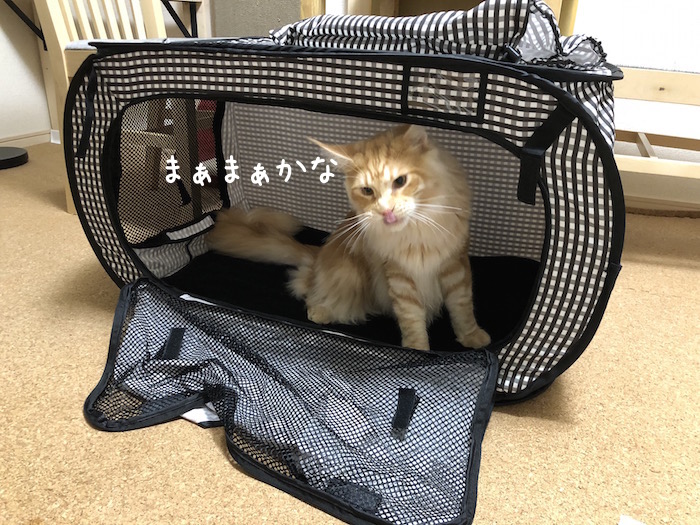 f:id:chikojirou:20180620213631j:plain
