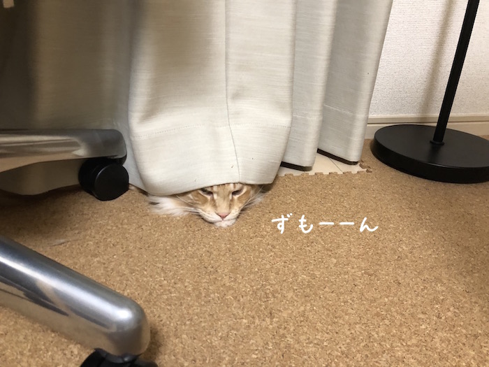 f:id:chikojirou:20180620213744j:plain