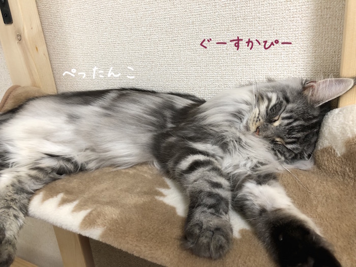 f:id:chikojirou:20180625220401j:plain