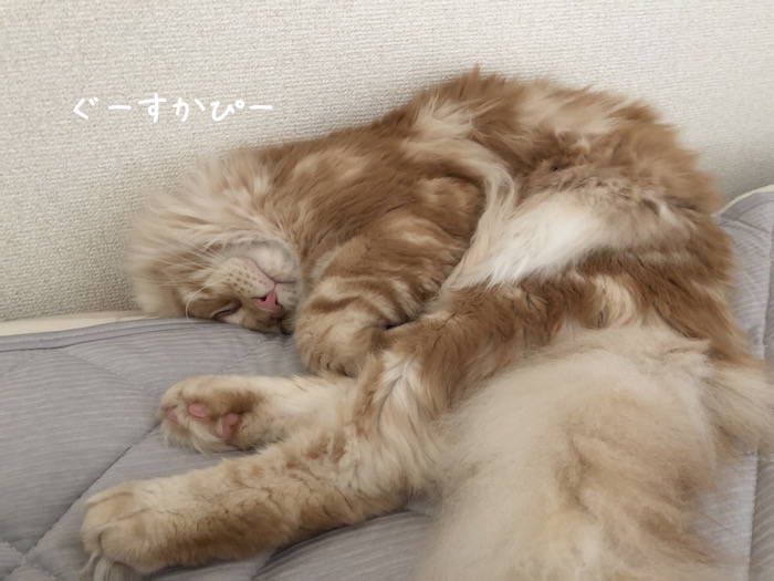 f:id:chikojirou:20180625220424j:plain