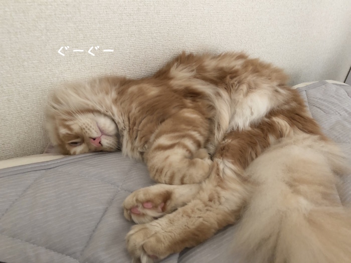f:id:chikojirou:20180625220521j:plain