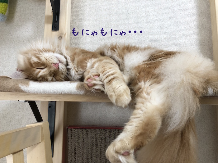 f:id:chikojirou:20180701205910j:plain