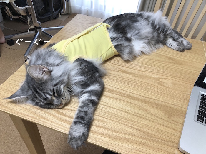 f:id:chikojirou:20180701210246j:plain