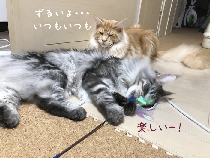 f:id:chikojirou:20180701210505j:plain