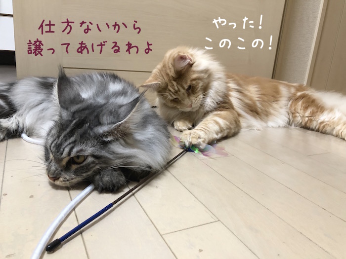 f:id:chikojirou:20180701210521j:plain