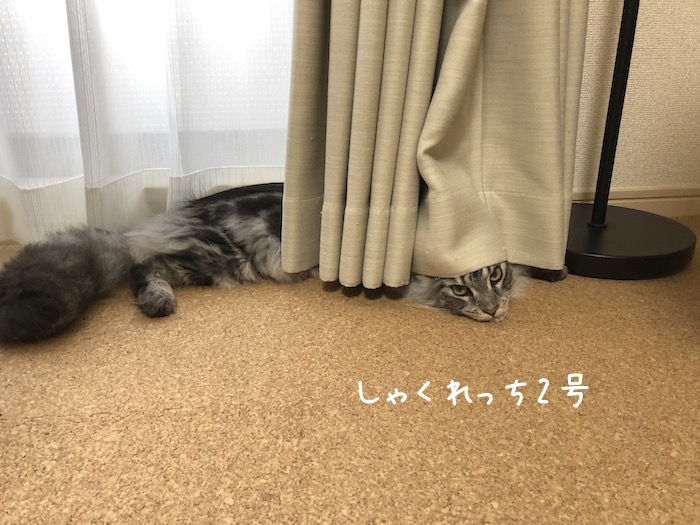 f:id:chikojirou:20180701210601j:plain