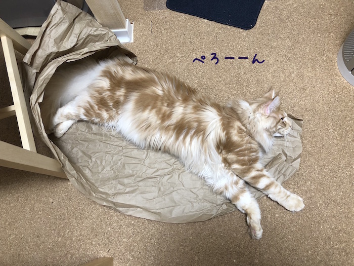 f:id:chikojirou:20180702215639j:plain