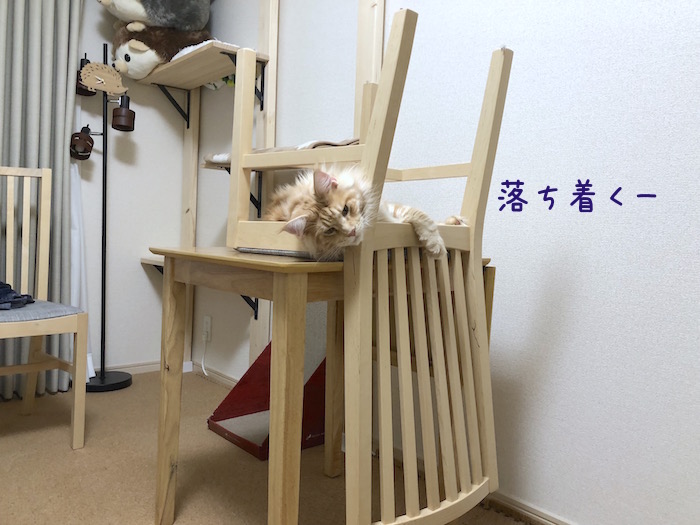 f:id:chikojirou:20180702215809j:plain