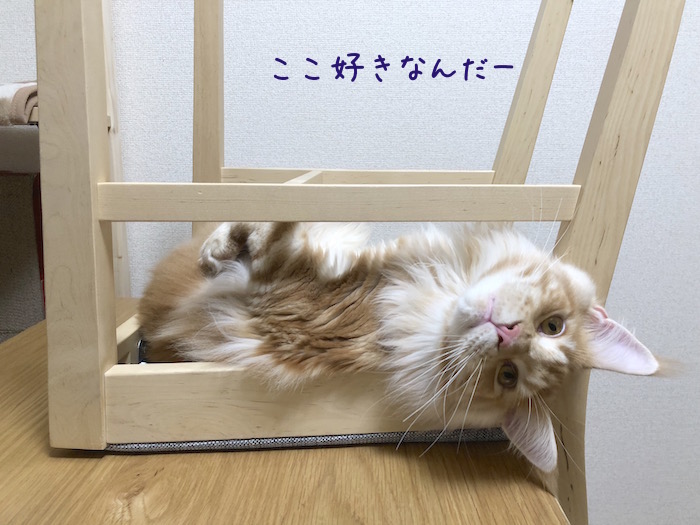 f:id:chikojirou:20180702215821j:plain