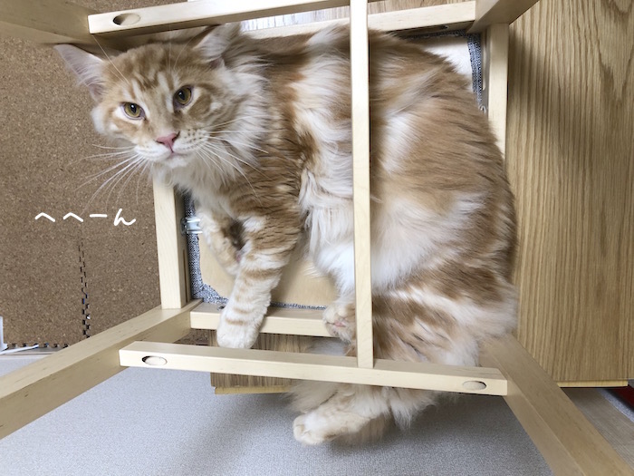 f:id:chikojirou:20180702215841j:plain