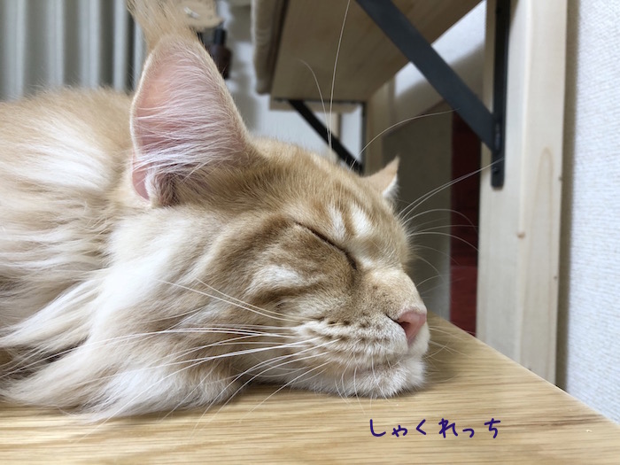 f:id:chikojirou:20180704220206j:plain