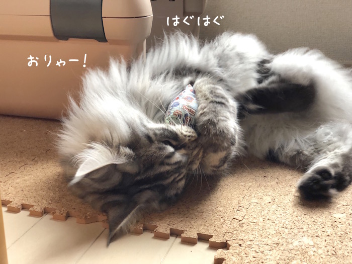 f:id:chikojirou:20180704220427j:plain